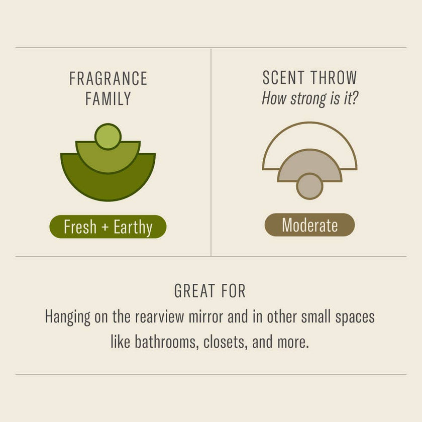 P.F. Candle Amber & Moss - Car Fragrance