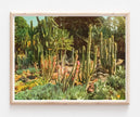 Huntington Cacti II Risograph Print Poster