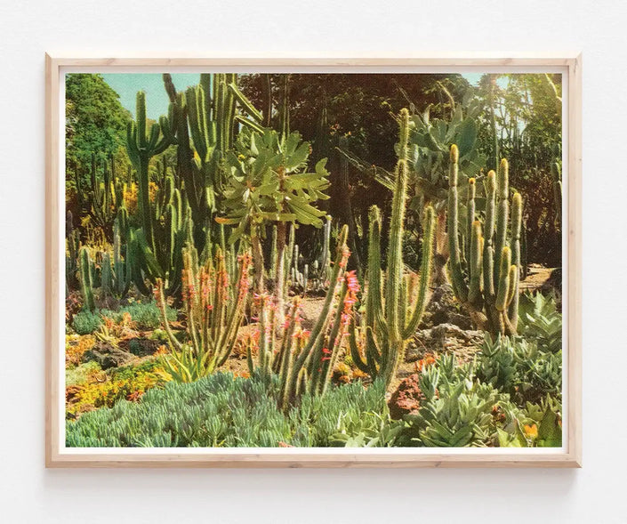 Huntington Cacti II Risograph Print Poster