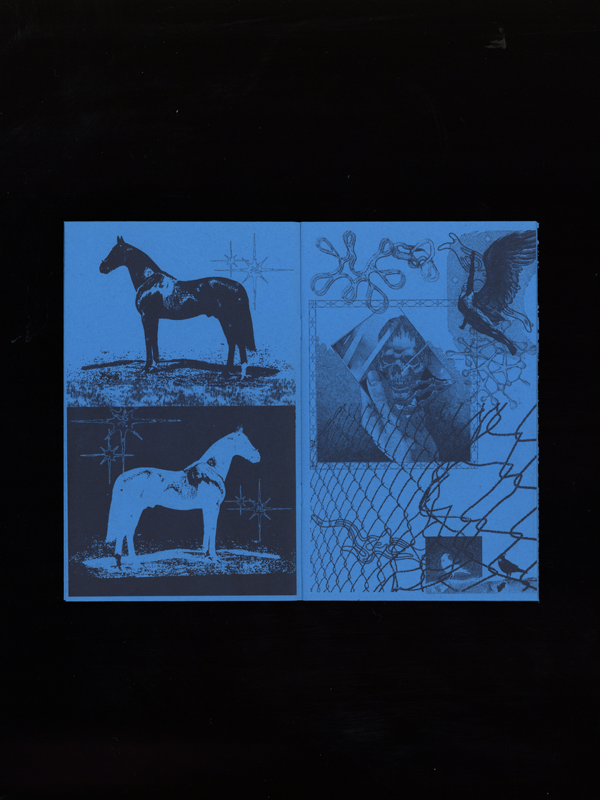 Soul Dirge • Risograph Printed Surrealist Collage Zine