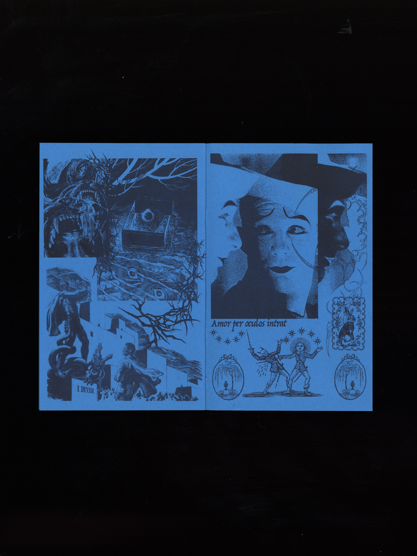 Soul Dirge • Risograph Printed Surrealist Collage Zine