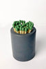Concrete Match Holder with Striker Bottom: Assorted / Green