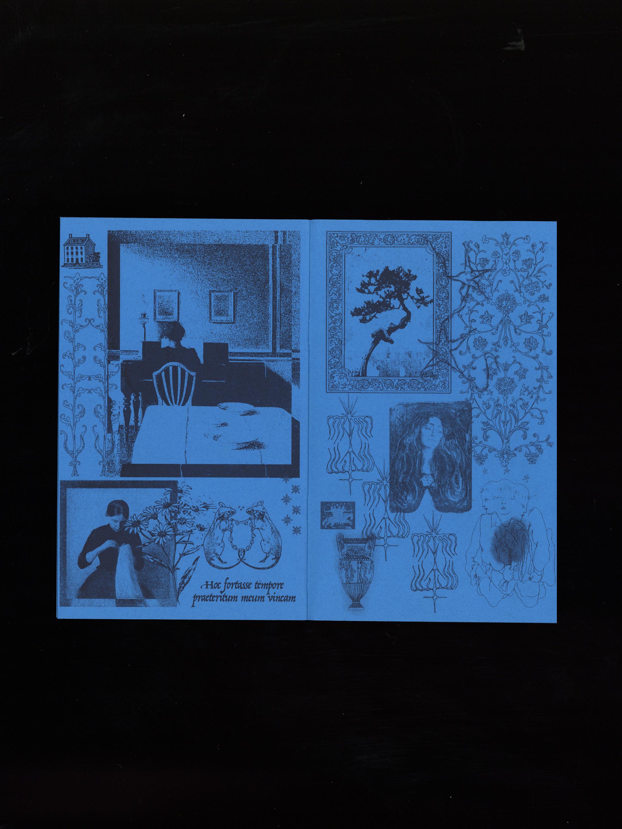 Soul Dirge • Risograph Printed Surrealist Collage Zine