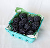 Beeswax Blackberry Birthday Candles: 5