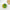 Green Apple Hair Claw