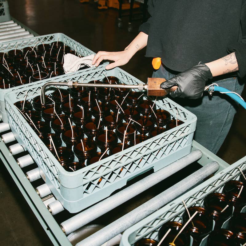 Patchouli Sweetgrass - 7.2 oz Standard Soy Candle: 7.2 oz