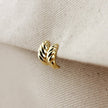 18k Gold Filled Croissant Stud Earrings