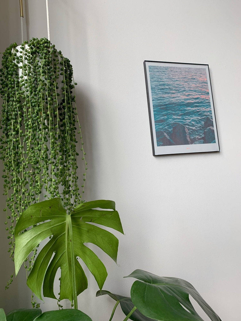 River Sunset - Risograph Art Print