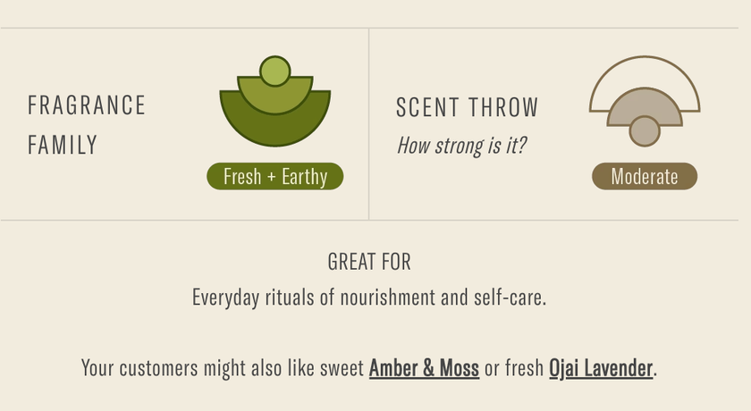 P.F. Candle Wild Herb Tonic - 7.2 oz Standard Soy Candle