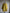 Vintage Yellow Mid Length Wool Lined Field Jacket