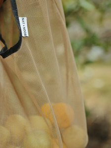 Joan Bag in Tan